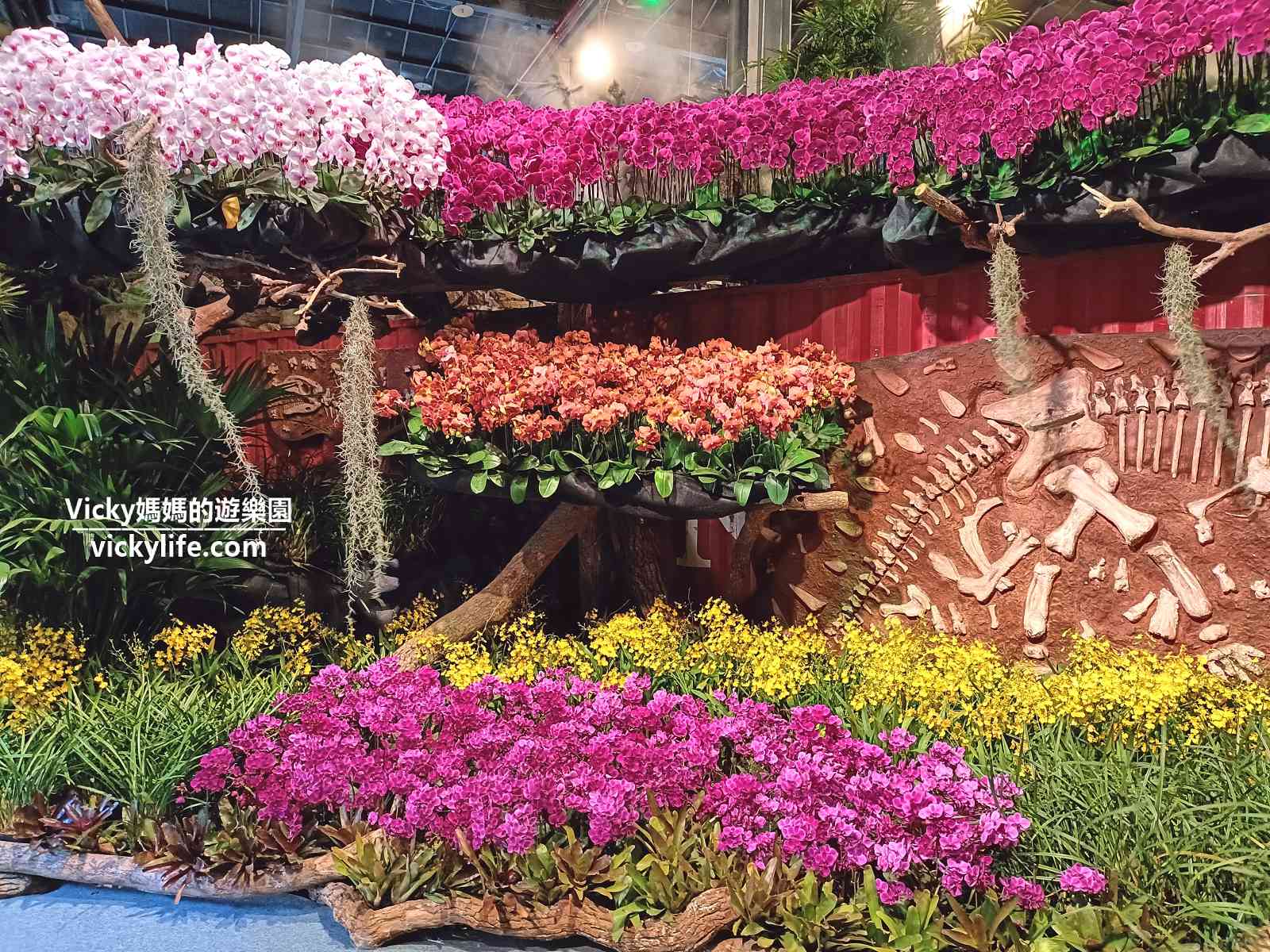 2023台灣國際蘭展：一起來到千變萬化的花花世界，也一起找找有幾隻恐龍(交通路線)