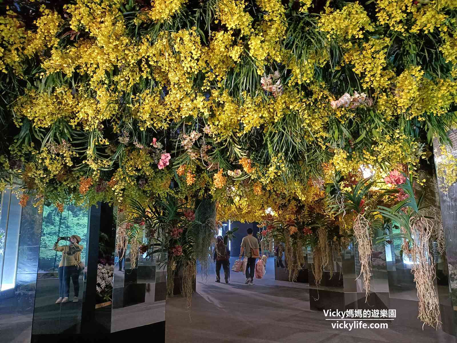 2023台灣國際蘭展：一起來到千變萬化的花花世界，也一起找找有幾隻恐龍(交通路線)