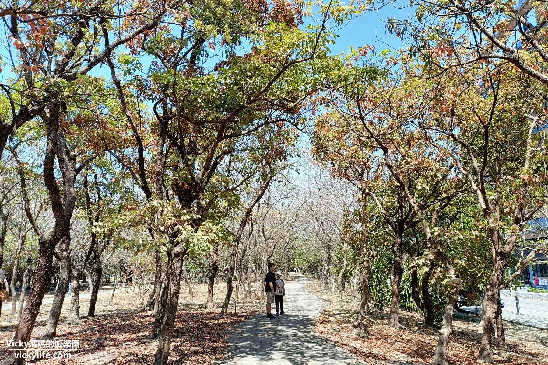 台南公園︱億載公園：15公頃大公園，高大樹木幫遮蔭，散步健行好去處