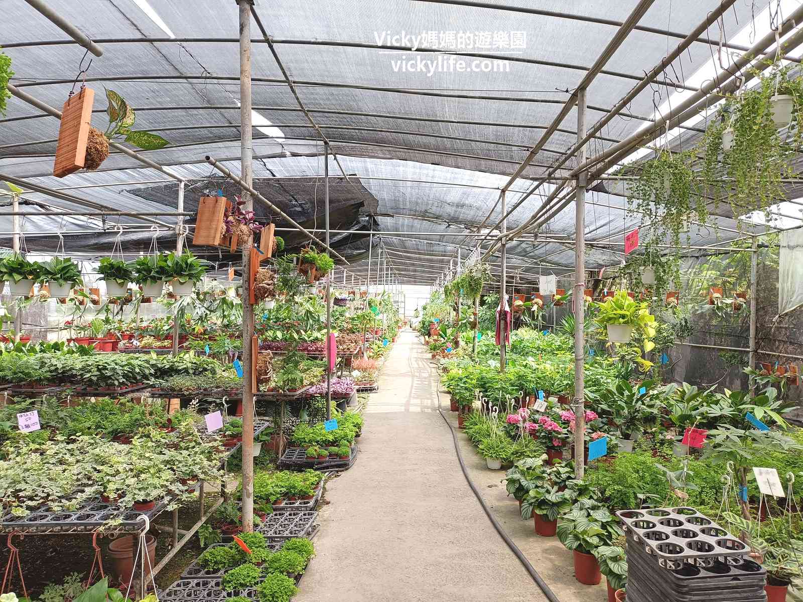 台南植栽哪裡買？台南歸仁七甲花卉區：10元起跳園藝店，主推3間，每間特色都不一樣，銅板價買到心花開@Vicky 媽媽的遊樂園