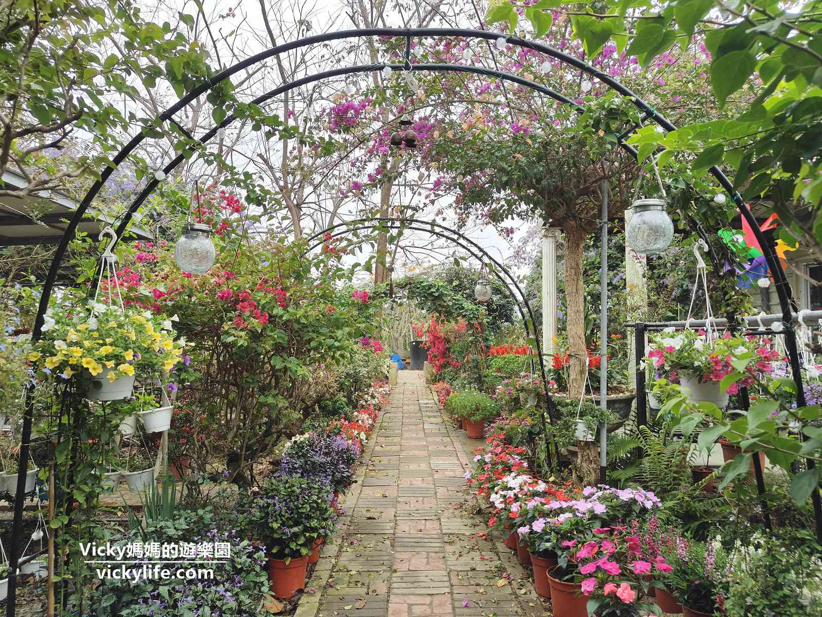 台南賞花︱玉井 雙秀園園藝餐廳：這座秘密花園好漂亮啊！萬紫千紅，美不勝收