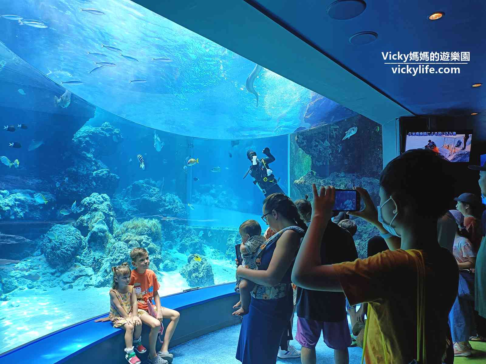 沖繩 美麗海水族館：交通、表演、優惠門票，全亞洲最大，沖繩必訪景點