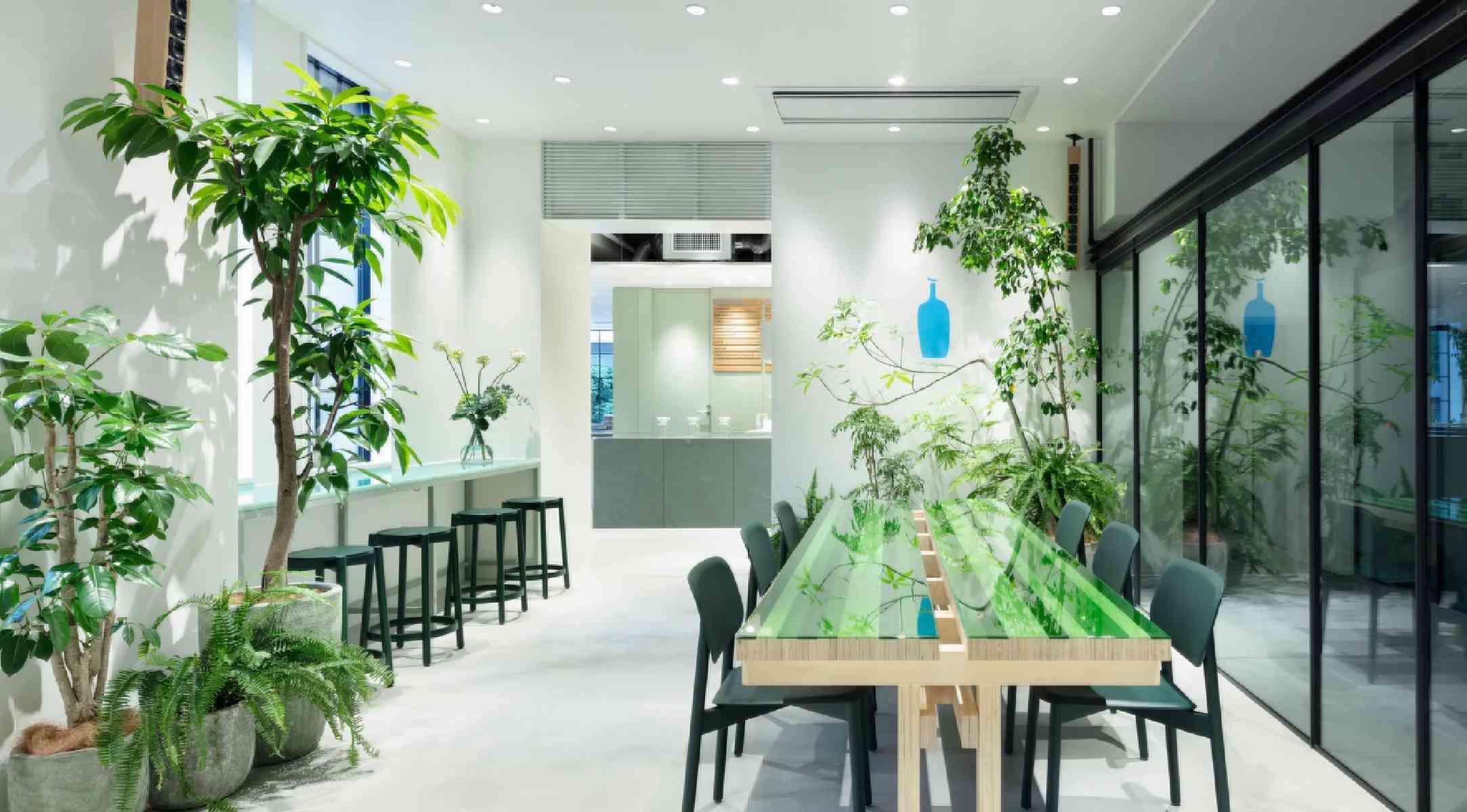藍瓶咖啡 京都木屋町：大片綠意，微風吹拂好舒服，與商場飯店共構，附飲料單