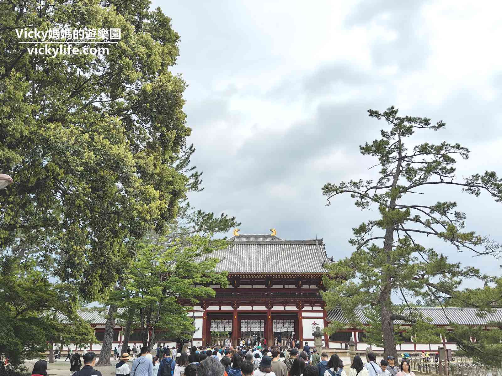 奈良必訪景點︱東大寺、奈良公園：參觀世界遺產和餵上千頭梅花鹿