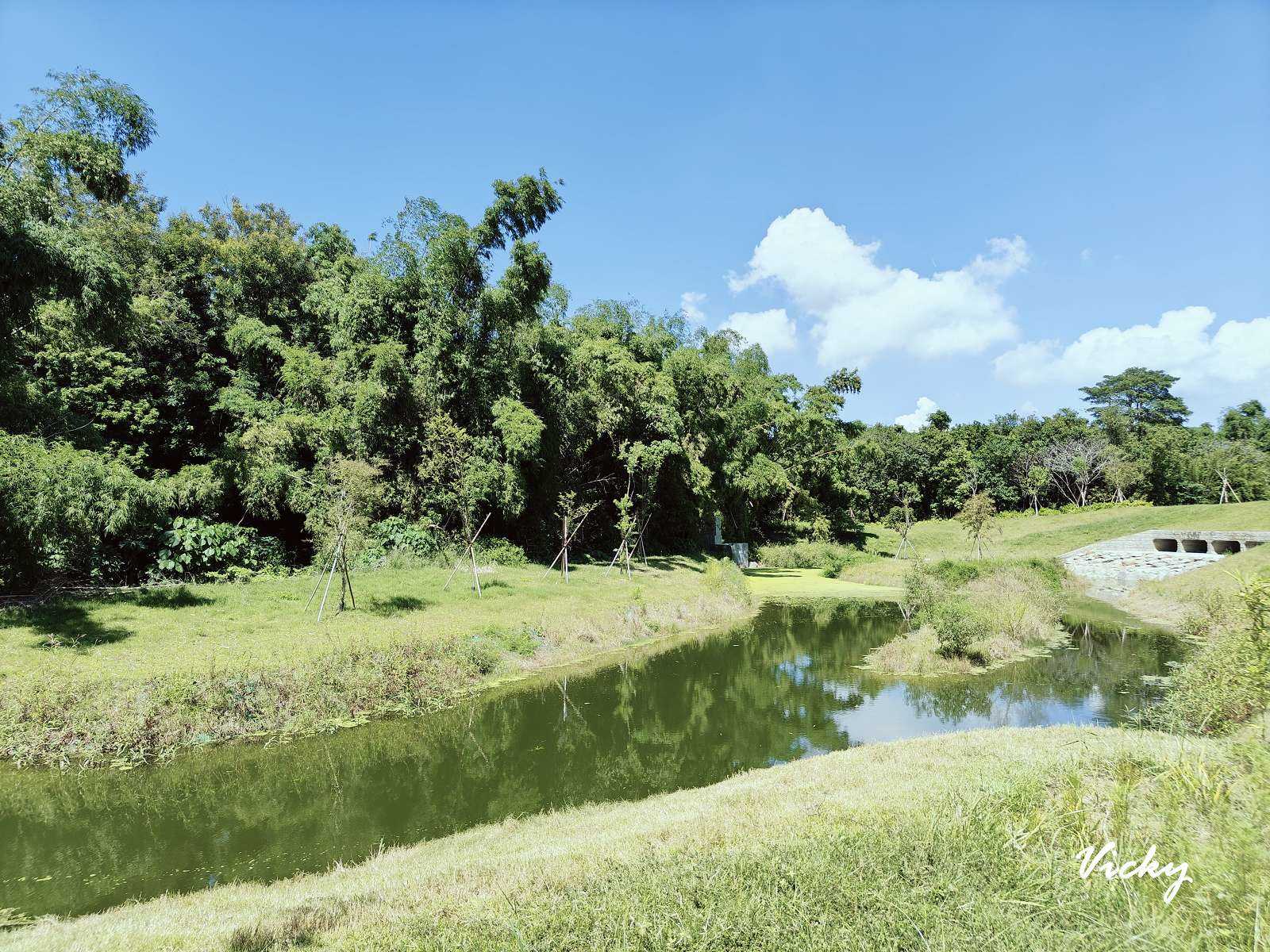 台南公園踏青︱哈赫拿爾森林：體育路與國民路間的市區桃花源，綠樹成蔭，生態豐富