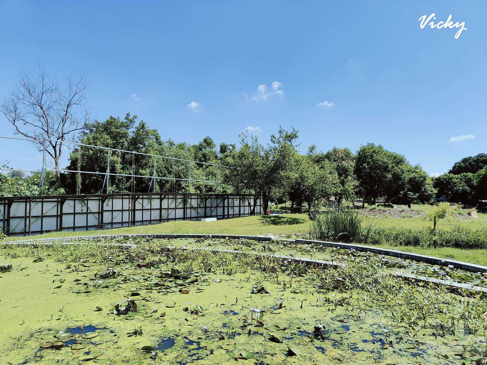 台南公園踏青︱哈赫拿爾森林：體育路與國民路間的市區桃花源，綠樹成蔭，生態豐富