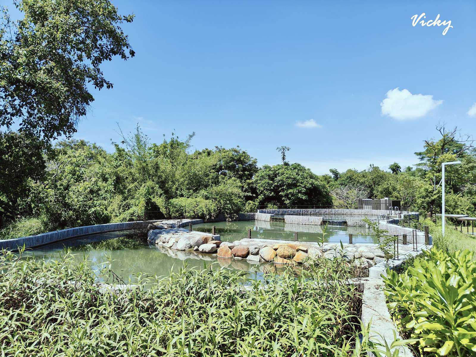 台南公園踏青︱哈赫拿爾森林：體育路與國民路間的市區桃花源，綠樹成蔭，生態豐富