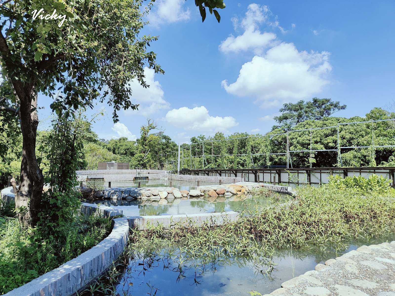 台南公園踏青︱哈赫拿爾森林：體育路與國民路間的市區桃花源，綠樹成蔭，生態豐富