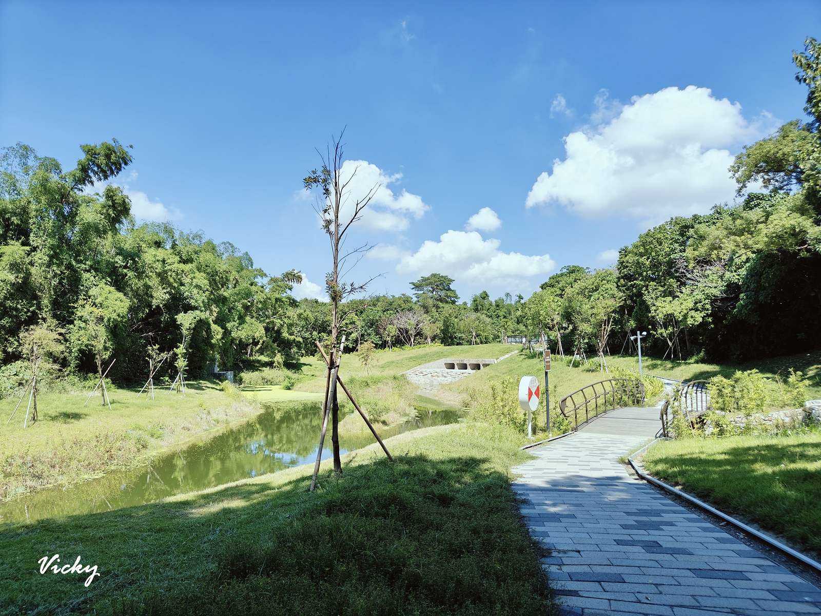 台南公園踏青︱哈赫拿爾森林：體育路與國民路間的市區桃花源，綠樹成蔭，生態豐富