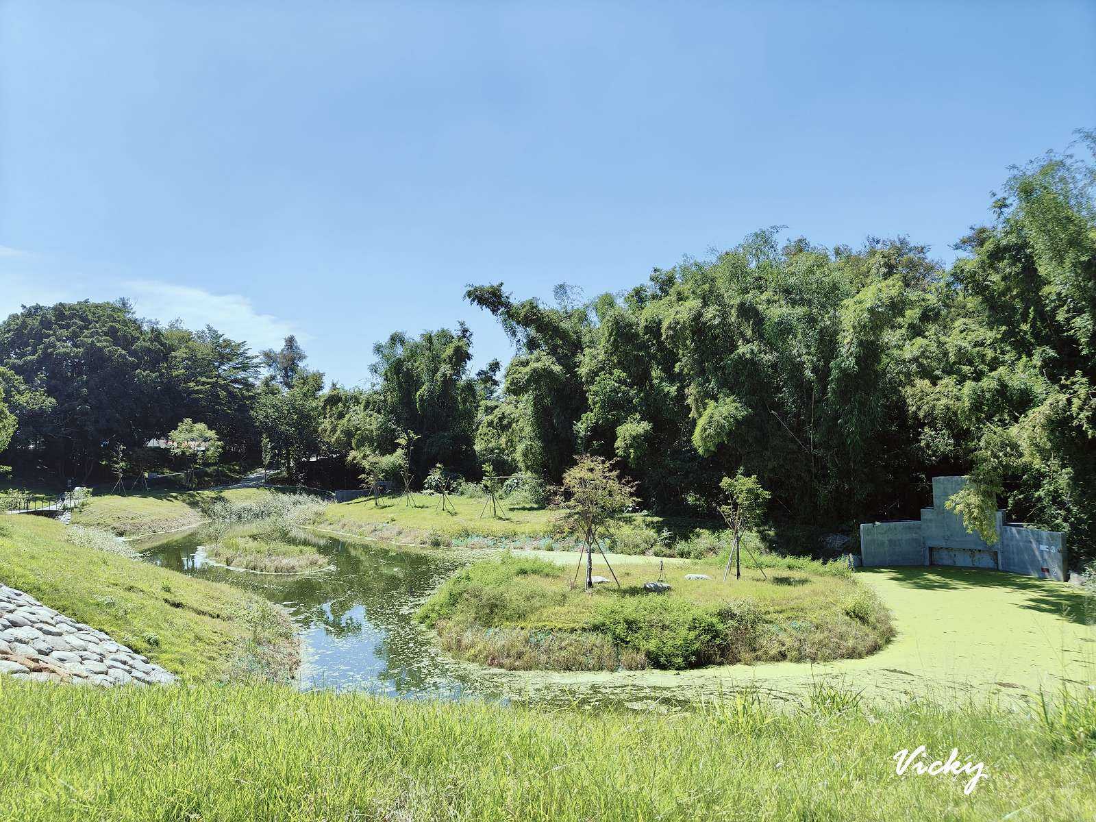 台南公園踏青︱哈赫拿爾森林：體育路與國民路間的市區桃花源，綠樹成蔭，生態豐富