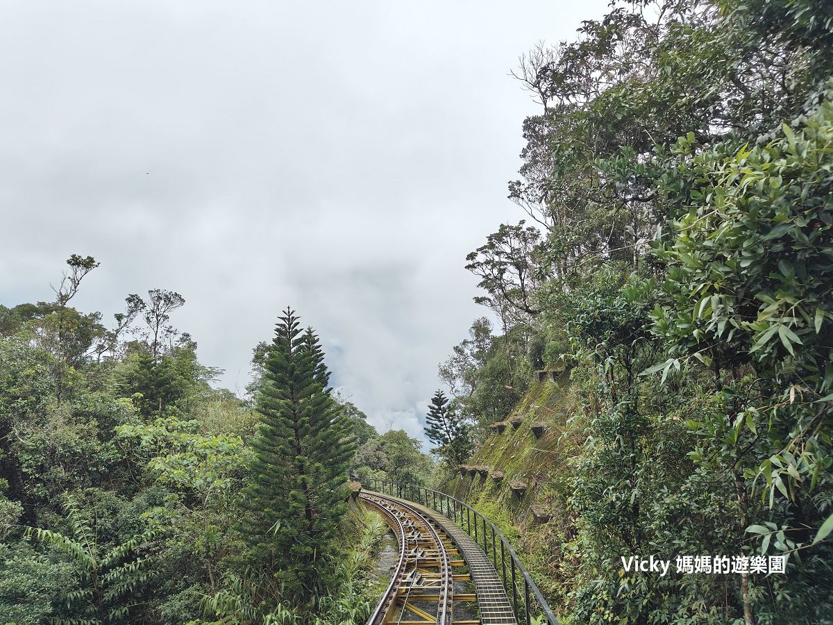 巴拿山法國山城、黃金佛手橋：越南必訪2大景點，來這裡享受歐洲氛圍和避暑吧