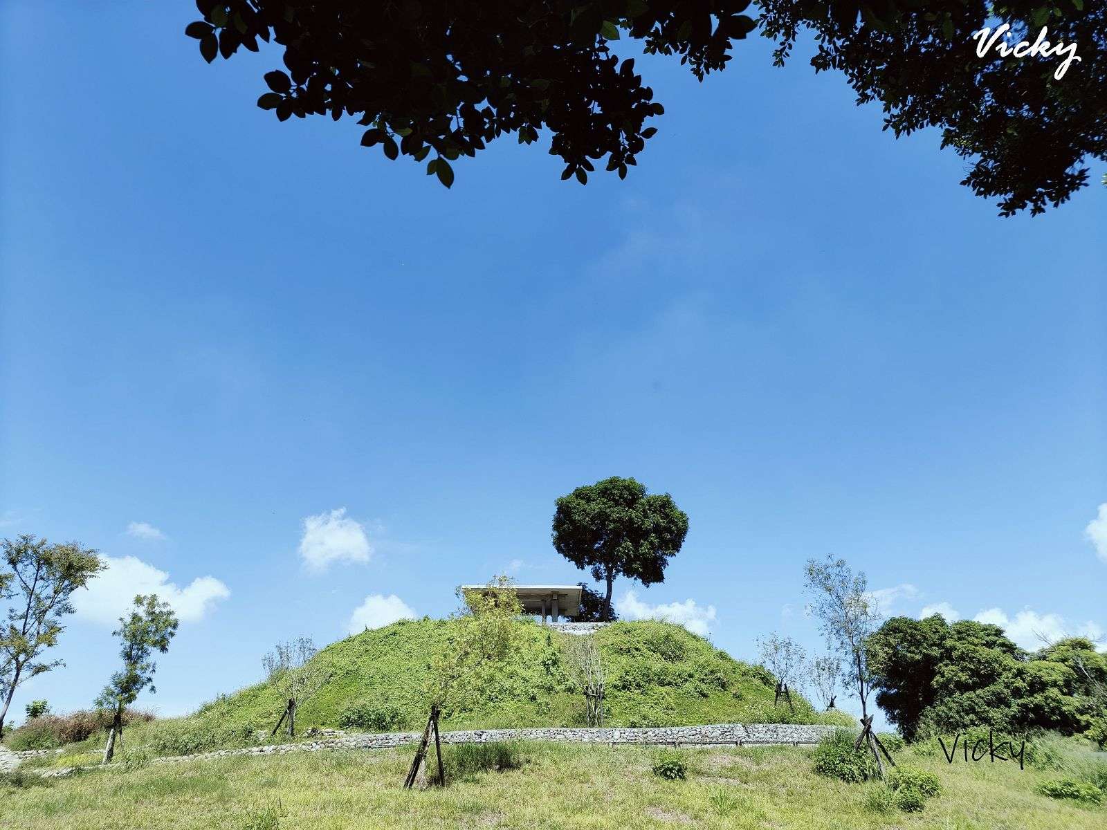 台南南區景點︱桂子山：1分鐘就登頂，眺望安平，俯瞰水交社文化園區