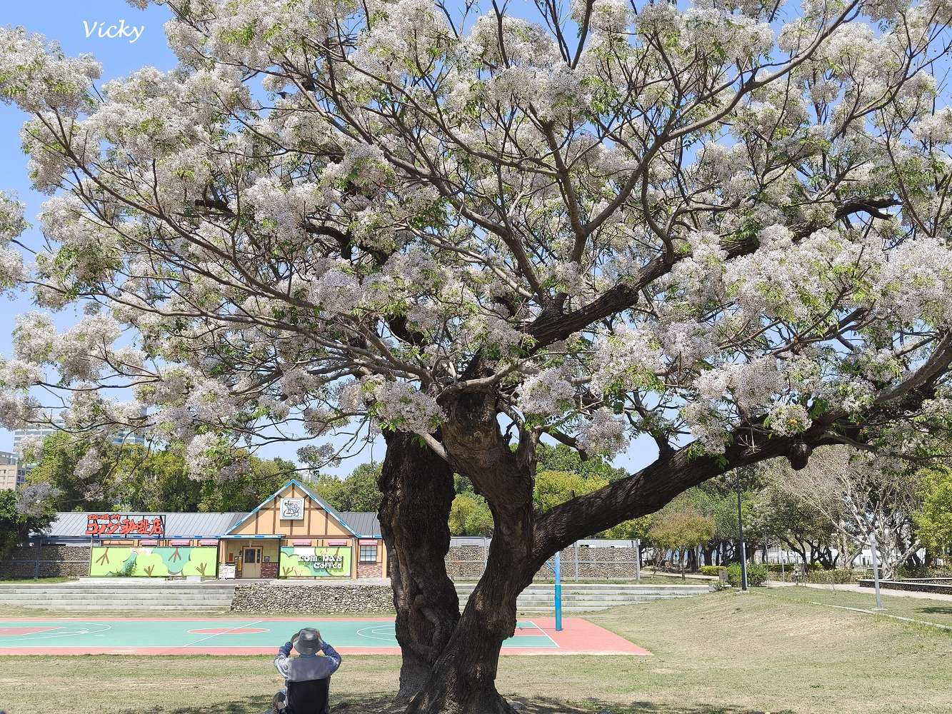 台南麵包︱ㄆㄤˋ的故事 南紡平實店：隱身公園內，青春洋溢質感麵包店，好拍好好吃