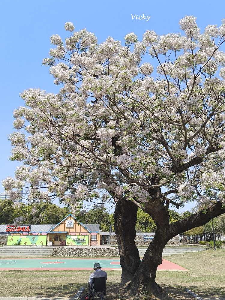 台南麵包︱ㄆㄤˋ的故事 南紡平實店：隱身公園內，青春洋溢質感麵包店，好拍好好吃
