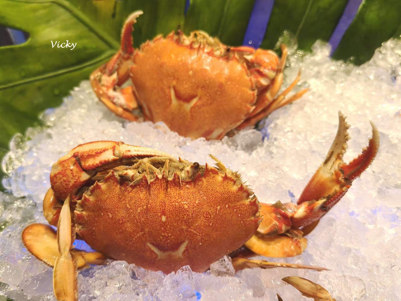 台南吃到飽推薦︱台南遠東香格里拉 遠東Café：100道以上的豐盛料理，任君選擇！印度美食節開鑼啦！