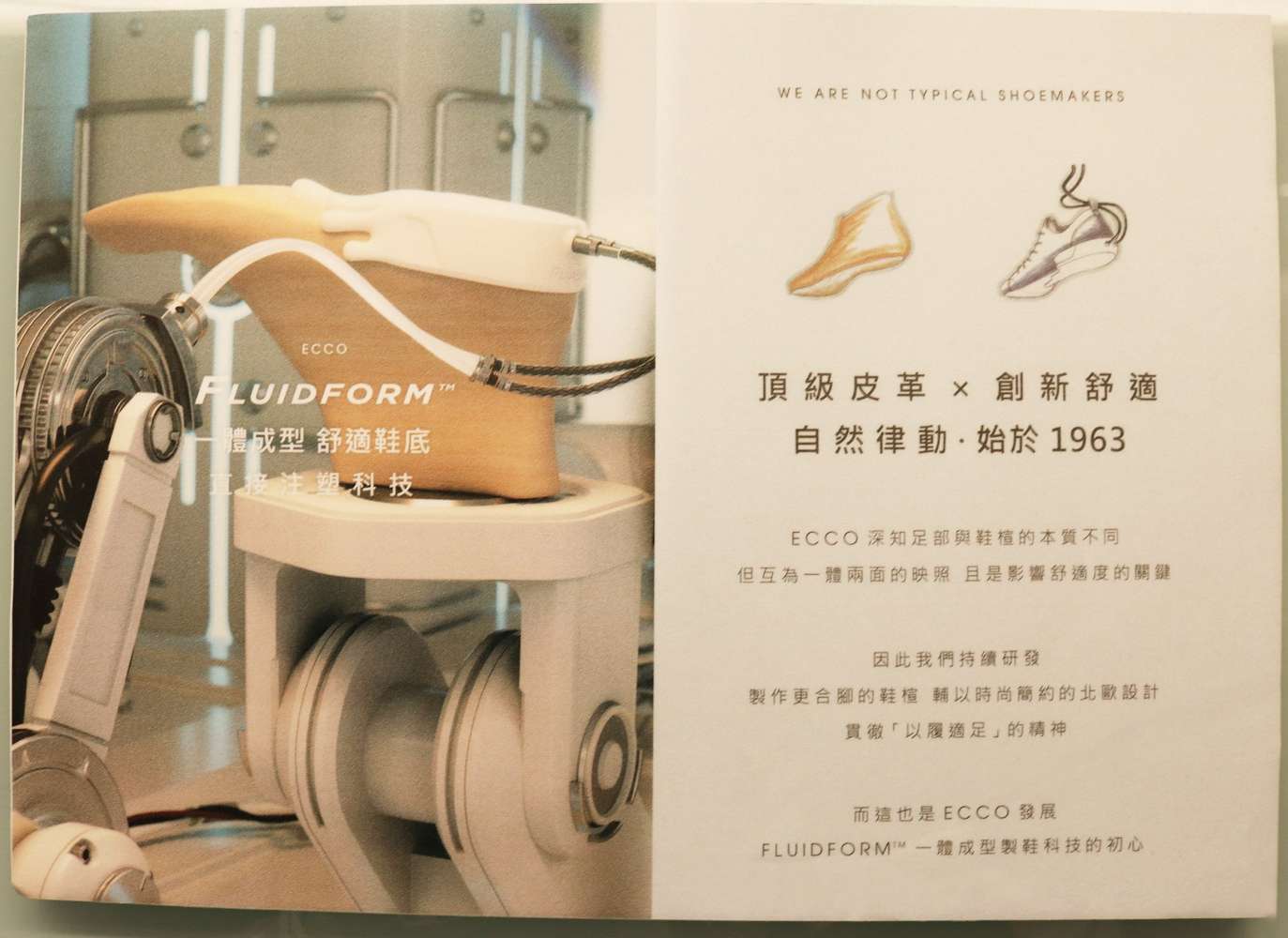 台南買鞋推薦｜洒落森林 極緻鞋館：走進「鞋履森林」，SKECHERS、ecco、MIT手工鞋通通有！全家都能選到命定鞋！