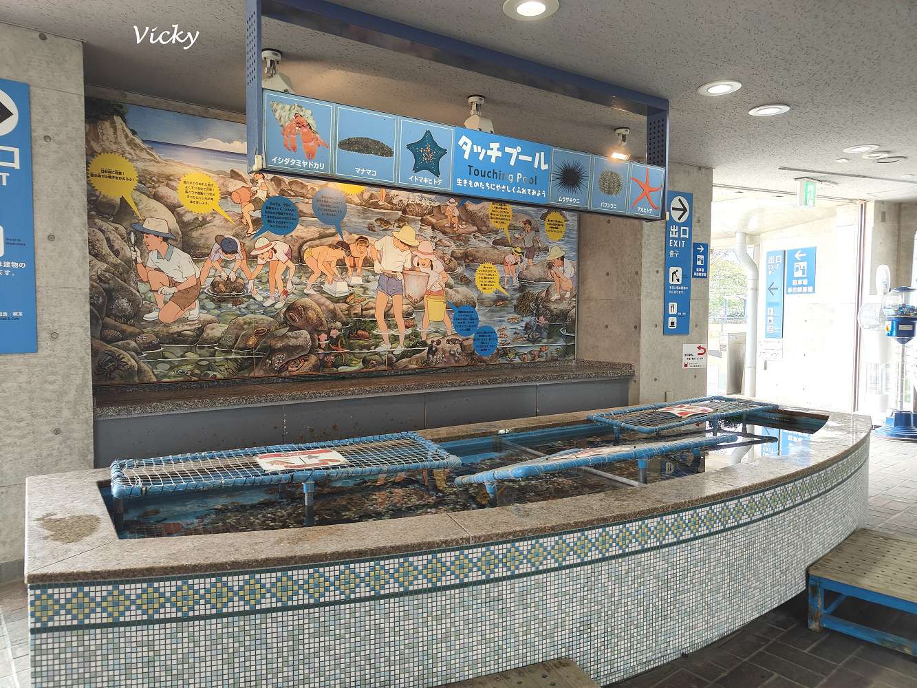 九州長崎必玩景點｜企鵝水族館：近距離看企鵝游泳散步，親子同樂超療癒！