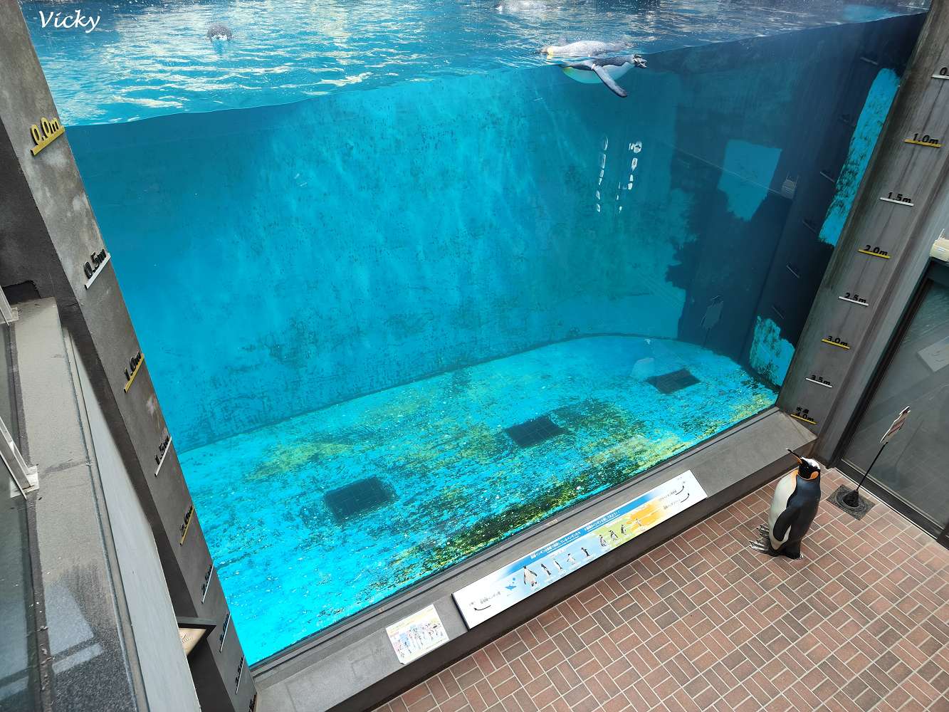 網站近期文章：九州長崎必玩景點｜企鵝水族館：近距離看企鵝游泳散步，親子同樂超療癒！