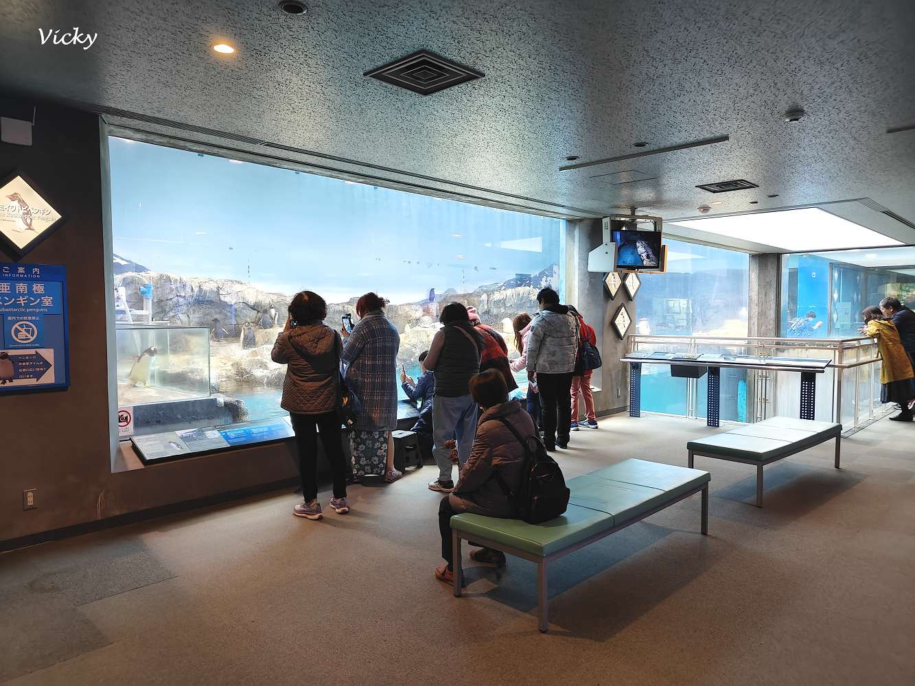九州長崎必玩景點｜企鵝水族館：近距離看企鵝游泳散步，親子同樂超療癒！