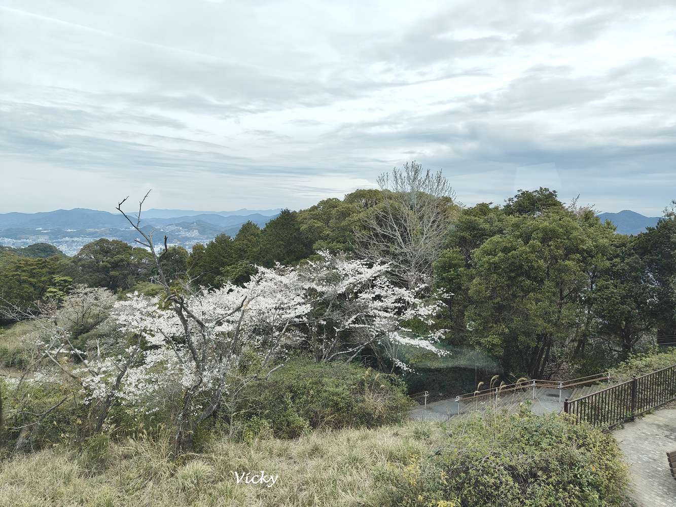 世界三大夜景之一！登上稻佐山軌道車，俯瞰絕美長崎市夜景，文末附中華街特色商店