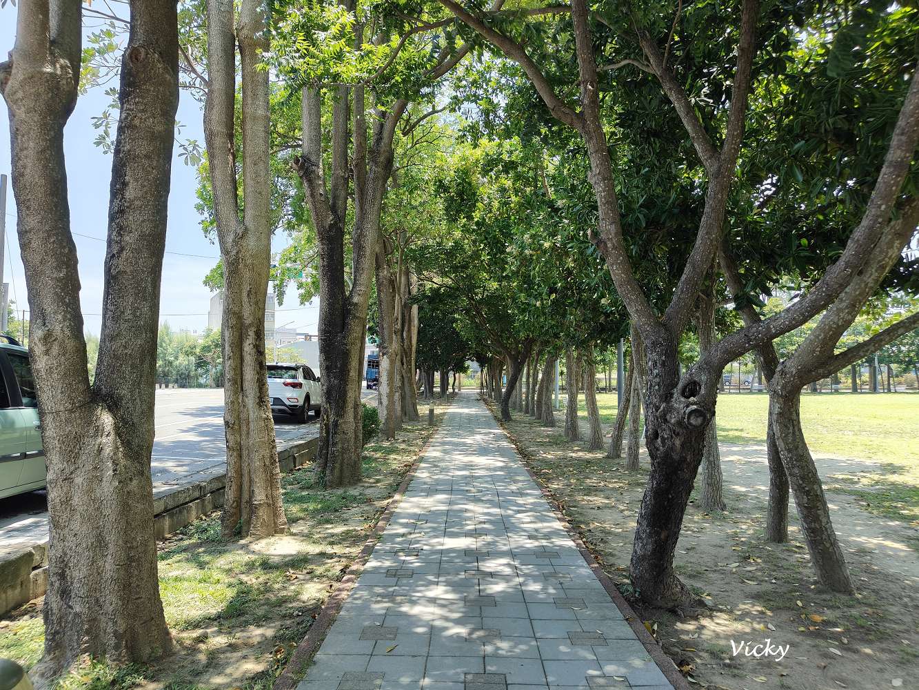佳里體育公園︱鹽分地帶 特色遊戲場：甜甜沙丘、海沫攀爬球必玩！玩沙、攀爬、滑梯一次滿足！