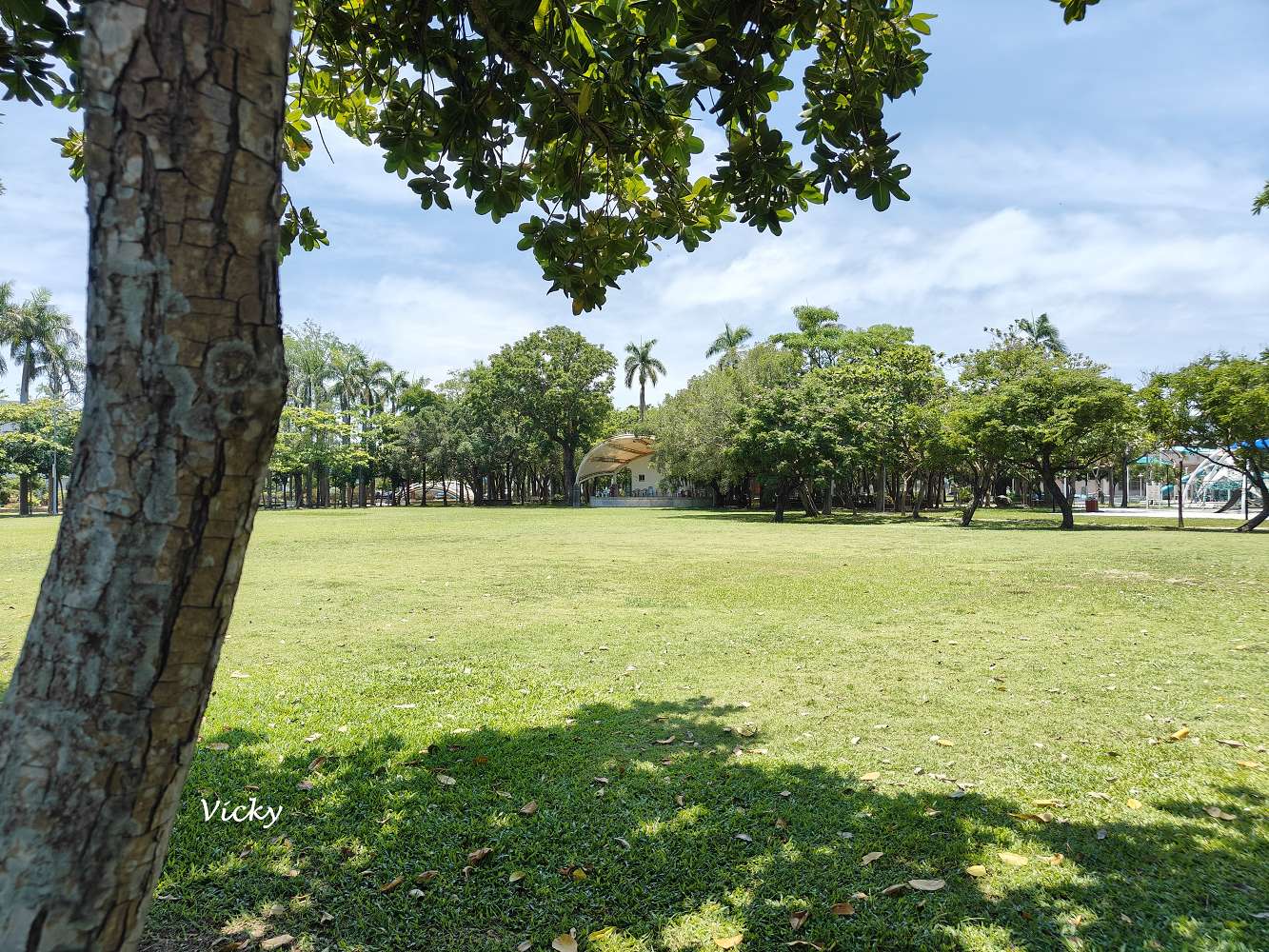 佳里體育公園︱鹽分地帶 特色遊戲場：甜甜沙丘、海沫攀爬球必玩！玩沙、攀爬、滑梯一次滿足！