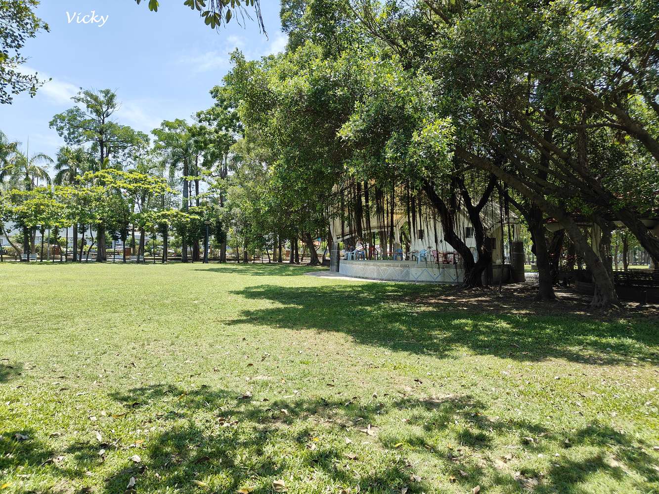佳里體育公園︱鹽分地帶 特色遊戲場：甜甜沙丘、海沫攀爬球必玩！玩沙、攀爬、滑梯一次滿足！
