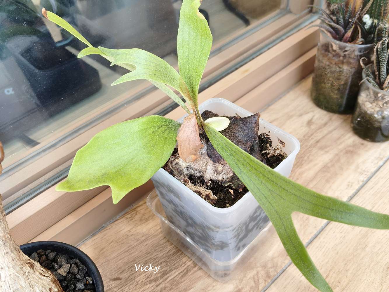 台南東區不限時咖啡館推薦｜籬下珈琲：文青必訪的咖啡香，附飲料單