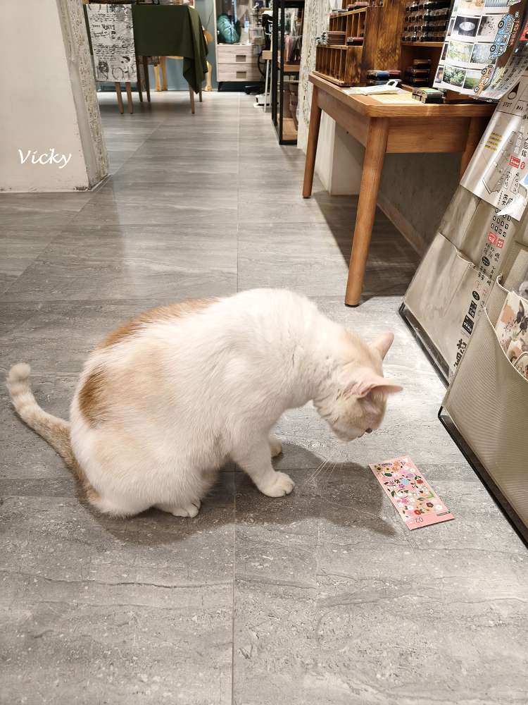 台南文青小店推薦：什物 Shiwu Studio 文具手帳選物店，走進南寧街83巷的溫暖角落