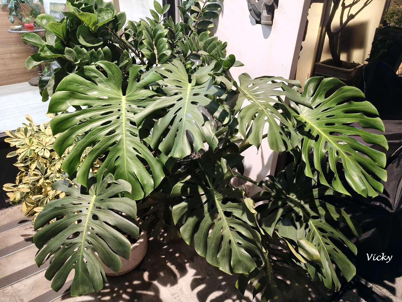 台南成大附近美食推薦 ｜小碗和食：巷弄裡的人氣豐富料理，包含飲料共8道，附菜單