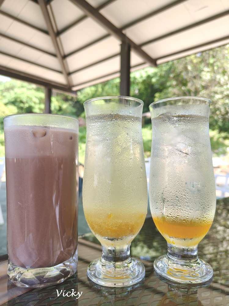 高雄景觀餐廳推薦|大崗山 恆雲山茶坊(原庭軒茶坊):登山後的靜謐休憩地,美景與美食一次滿足,附菜單 高雄景觀餐廳推薦|大崗山 恆雲山茶坊(原庭軒茶坊):登山後的靜謐休憩地,美景與美食一次滿足,附菜單