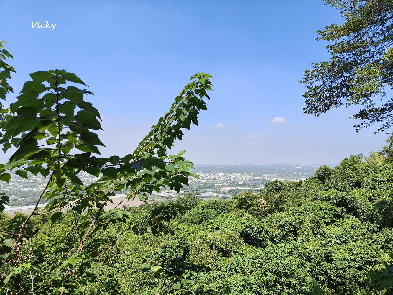 高雄景觀餐廳推薦|大崗山 恆雲山茶坊(原庭軒茶坊):登山後的靜謐休憩地,美景與美食一次滿足,附菜單 高雄景觀餐廳推薦|大崗山 恆雲山茶坊(原庭軒茶坊):登山後的靜謐休憩地,美景與美食一次滿足,附菜單