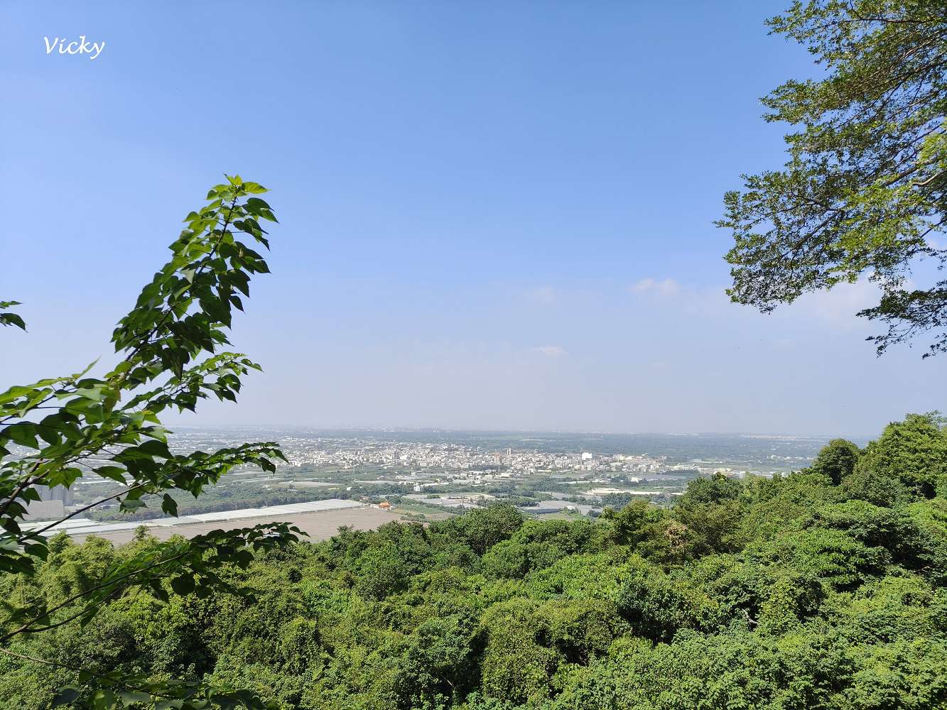 高雄景觀餐廳推薦|大崗山 恆雲山茶坊(原庭軒茶坊):登山後的靜謐休憩地,美景與美食一次滿足,附菜單 高雄景觀餐廳推薦|大崗山 恆雲山茶坊(原庭軒茶坊):登山後的靜謐休憩地,美景與美食一次滿足,附菜單