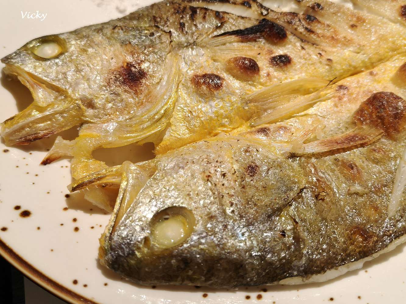 台南美食︱701嶼 多元餐飲新地圖：成大巷弄必吃「野生海魚」套餐，內附菜單！