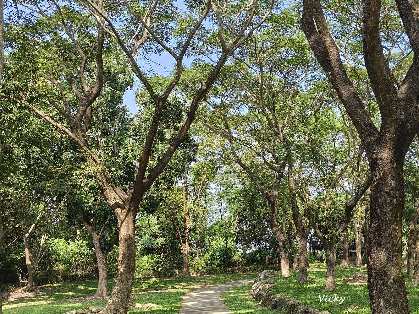 高雄阿蓮景點推薦｜大崗山自然生態園區：親子踏青、長輩散步的好去處