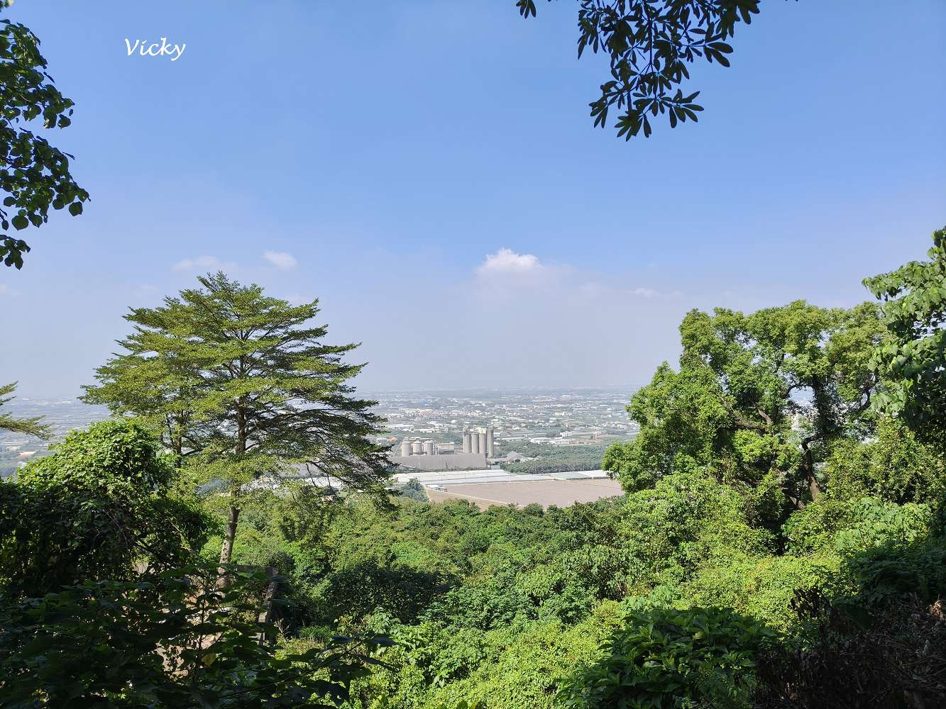 高雄阿蓮景點推薦｜大崗山自然生態園區：親子踏青、長輩散步的好去處