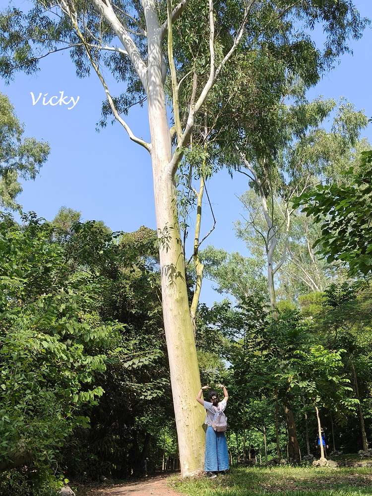 高雄阿蓮景點推薦｜大崗山自然生態園區：親子踏青、長輩散步的好去處