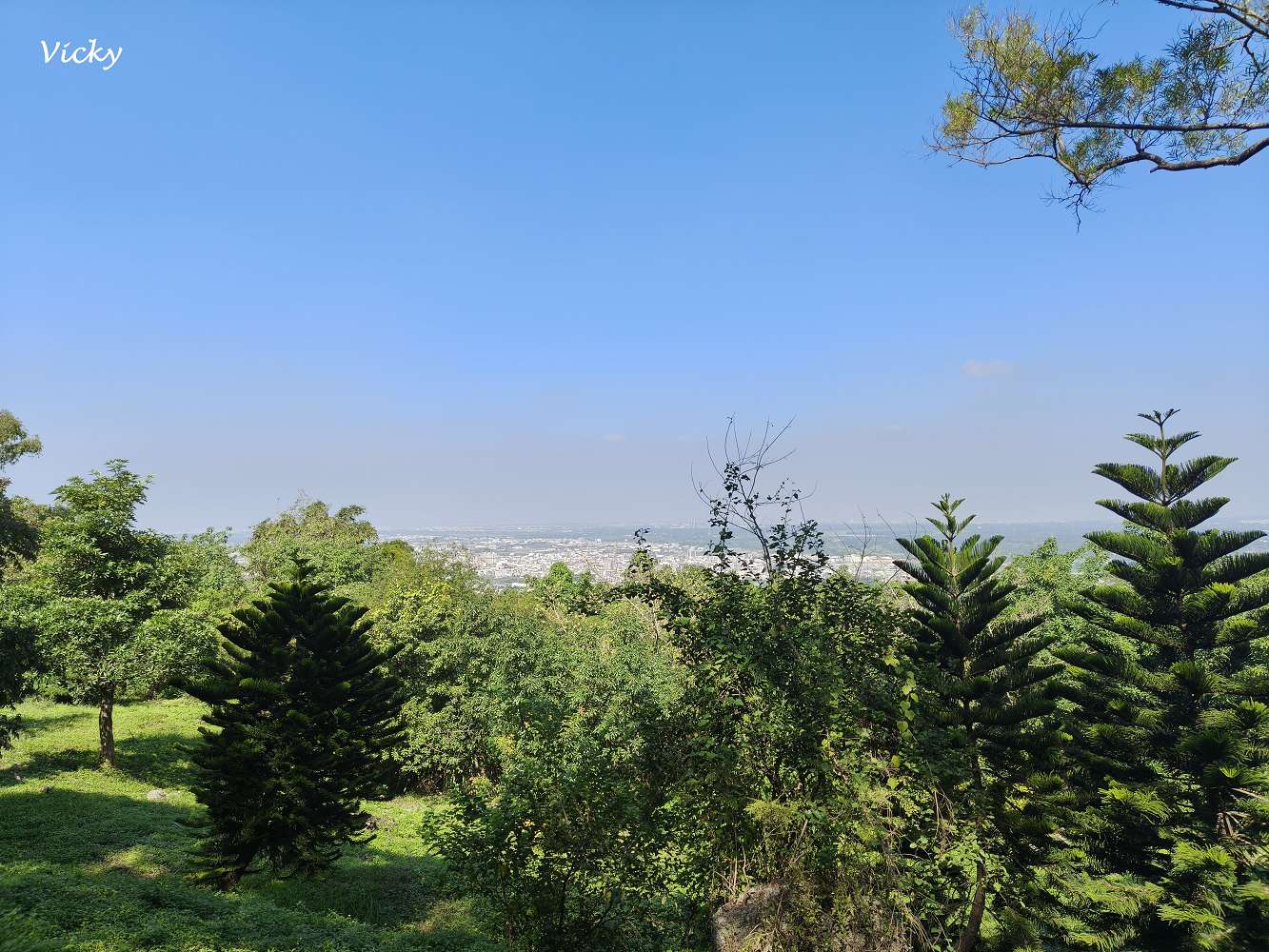 高雄阿蓮景點推薦｜大崗山自然生態園區：親子踏青、長輩散步的好去處