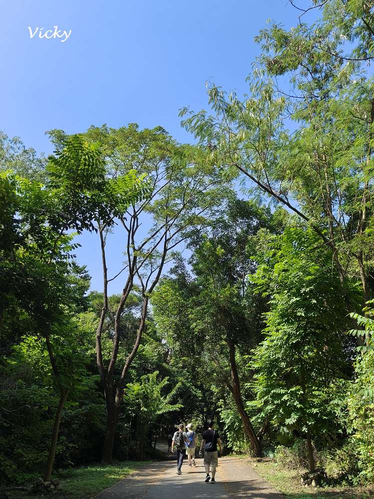 高雄阿蓮景點推薦｜大崗山自然生態園區：親子踏青、長輩散步的好去處