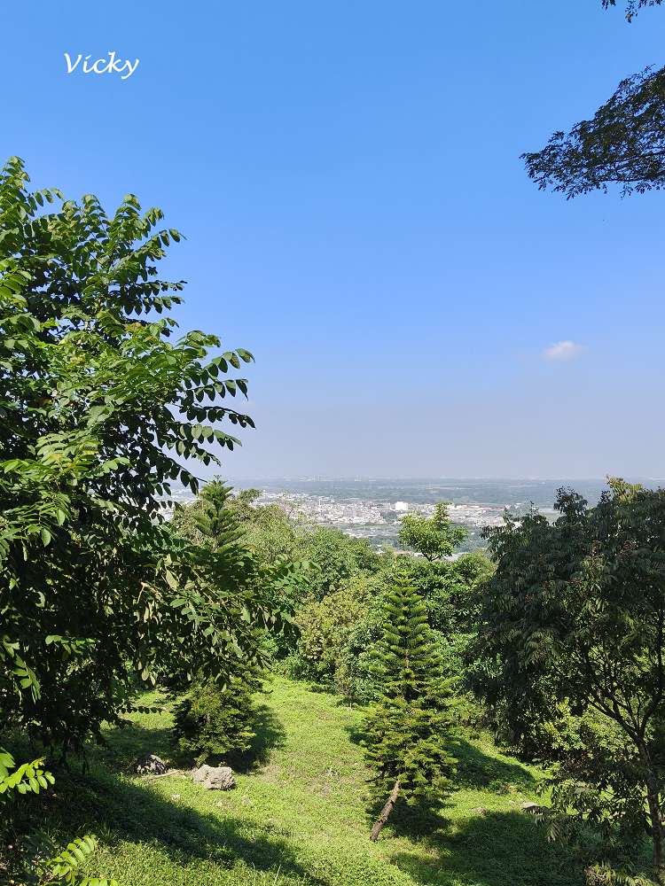 高雄阿蓮景點推薦｜大崗山自然生態園區：親子踏青、長輩散步的好去處
