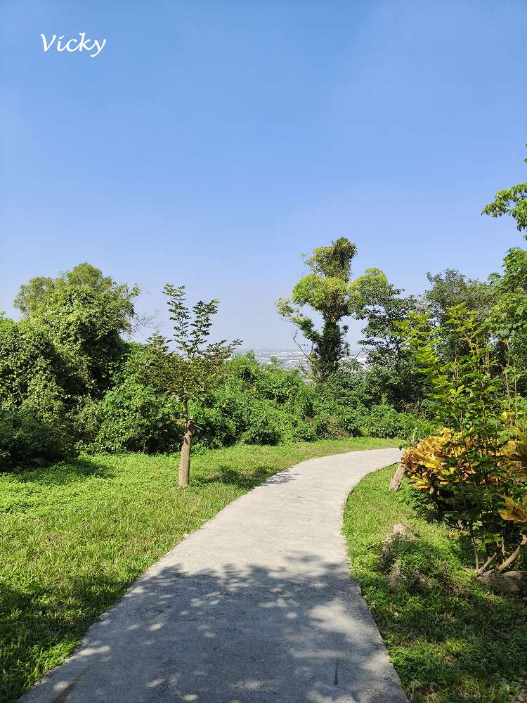 高雄阿蓮景點推薦｜大崗山自然生態園區：親子踏青、長輩散步的好去處