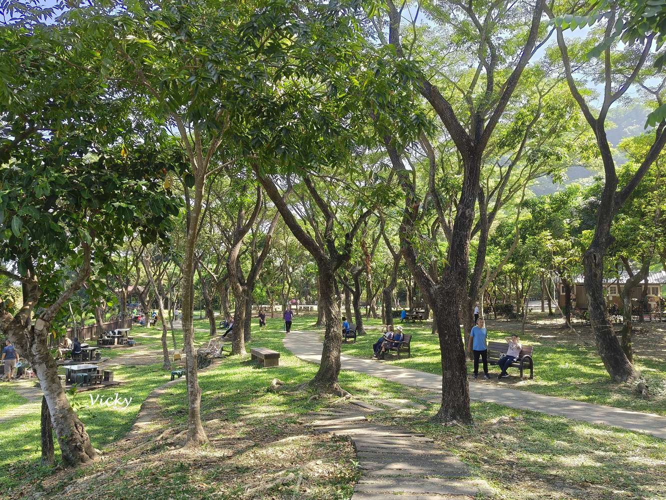 高雄阿蓮景點推薦｜大崗山自然生態園區：親子踏青、長輩散步的好去處