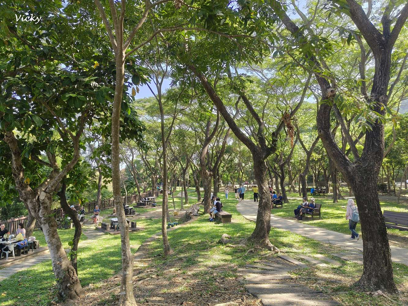 高雄阿蓮景點推薦｜大崗山自然生態園區：親子踏青、長輩散步的好去處