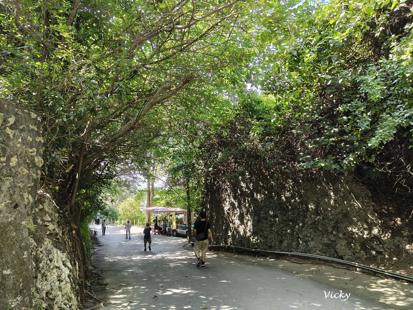 網站近期文章：高雄阿蓮景點推薦｜大崗山自然生態園區：親子踏青、長輩散步的好去處