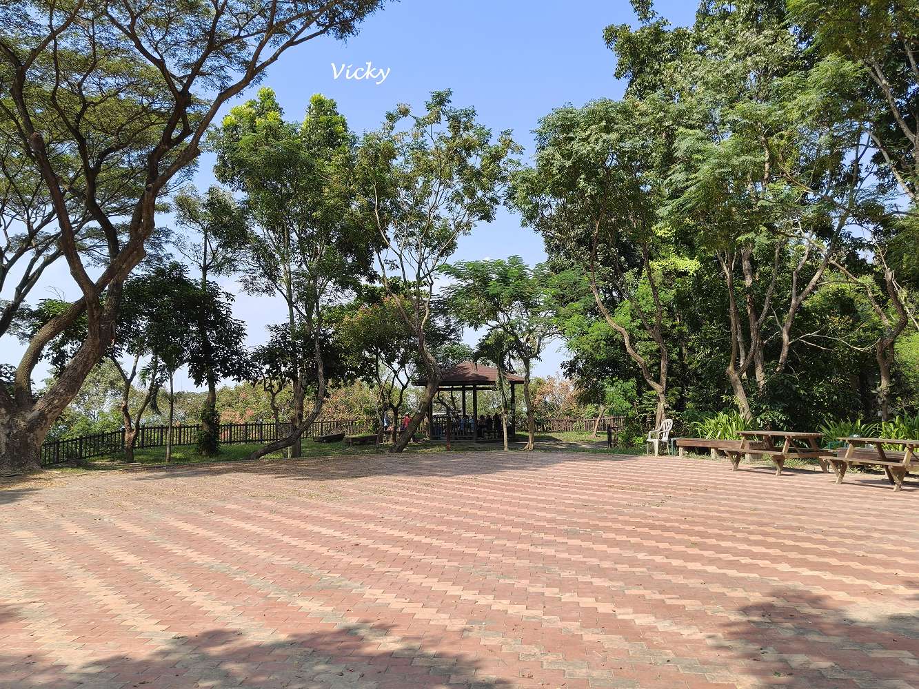 高雄阿蓮景點推薦｜大崗山自然生態園區：親子踏青、長輩散步的好去處