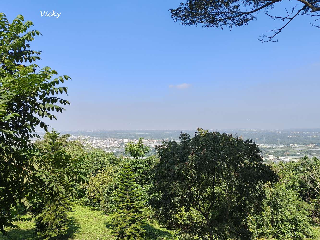 高雄阿蓮景點推薦｜大崗山自然生態園區：親子踏青、長輩散步的好去處