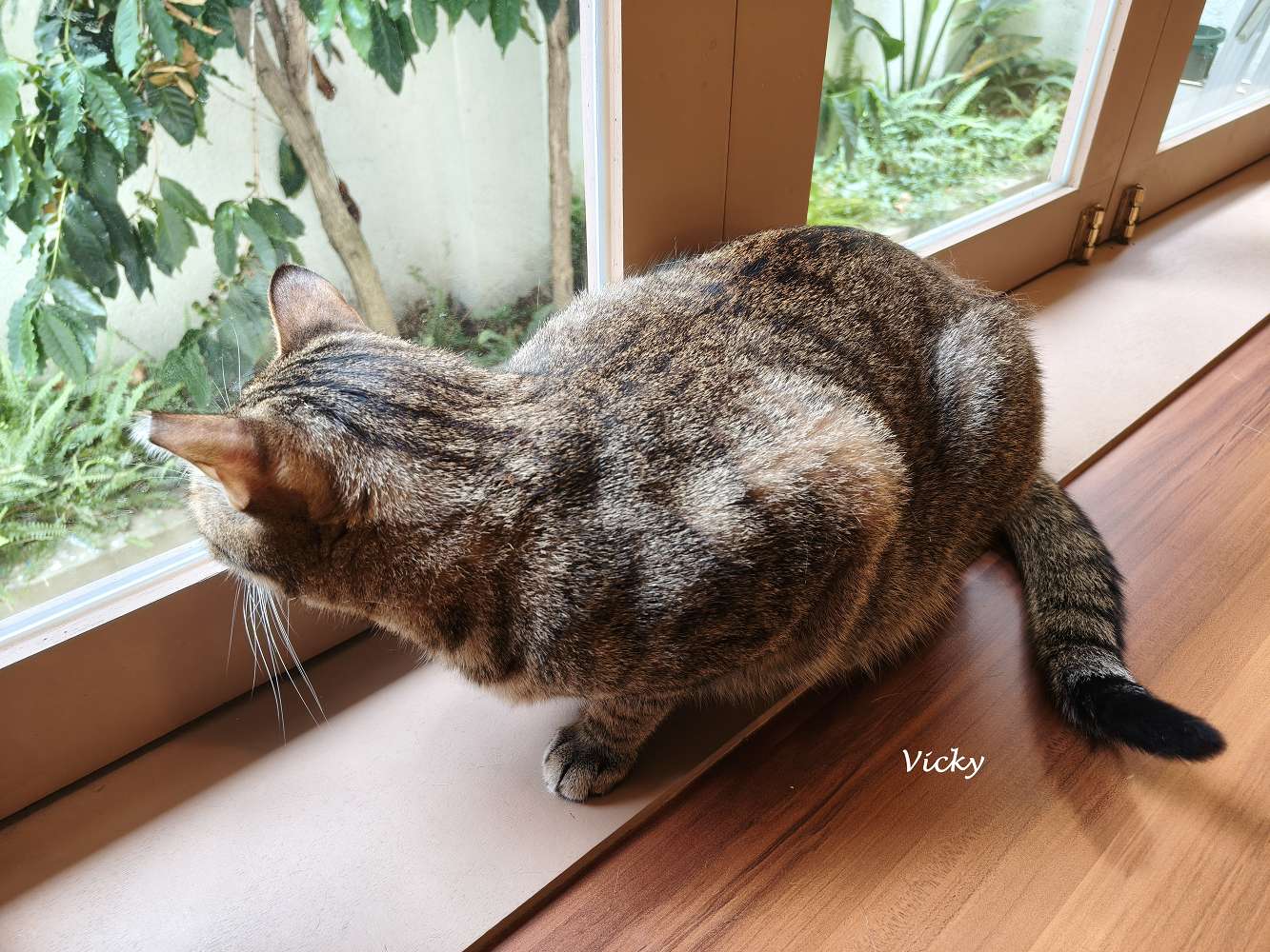 台南咖啡廳｜潺潺咖啡：巷弄裡的文青秘境，紅烏龍巴斯克與奶茶的完美午後時光（附最新菜單）