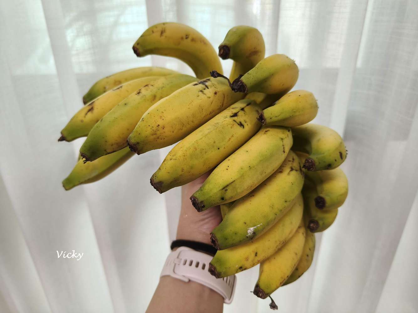 台南買菜好去處|台南市農會假日農市:優質農產匯集,一次購齊 台南買菜好去處|台南市農會假日農市:優質農產匯集,一次購齊