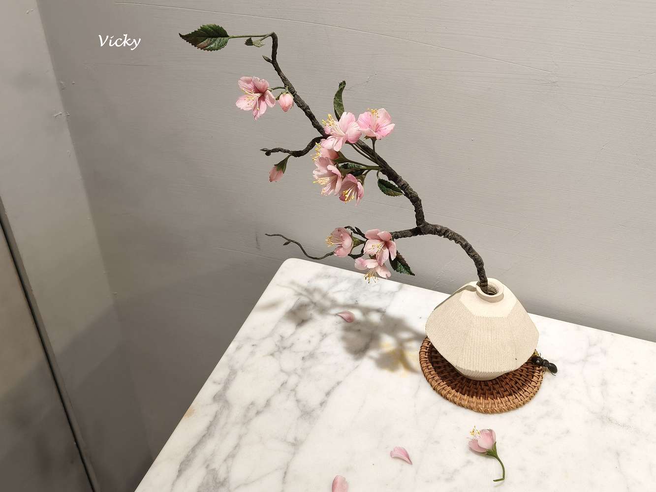 台南東區咖啡店推薦︱昇陞咖啡：東門路上不限時、有插座、提供Wi-Fi 、寵物友善的工作好去處！