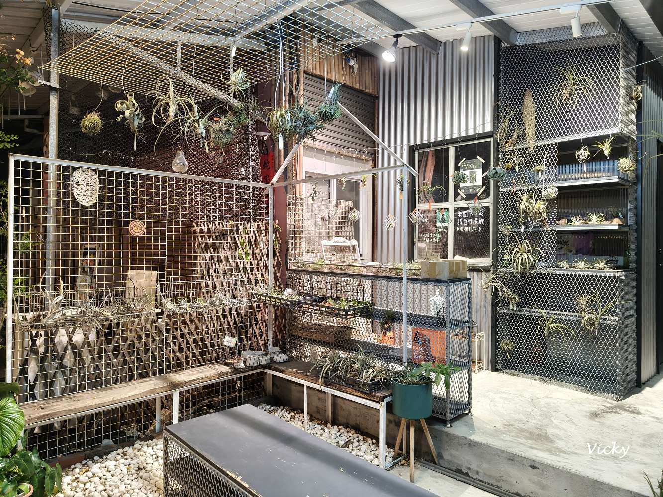 台南中西區特色店家｜木植部：府中街上的無人秘境，空氣鳳梨與誠實商店的療癒邂逅